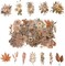 100 Pcs Autumn Flower Stickers for Scrapbooking (Autumn) 2.2 x 2.2 x 0.01 inches